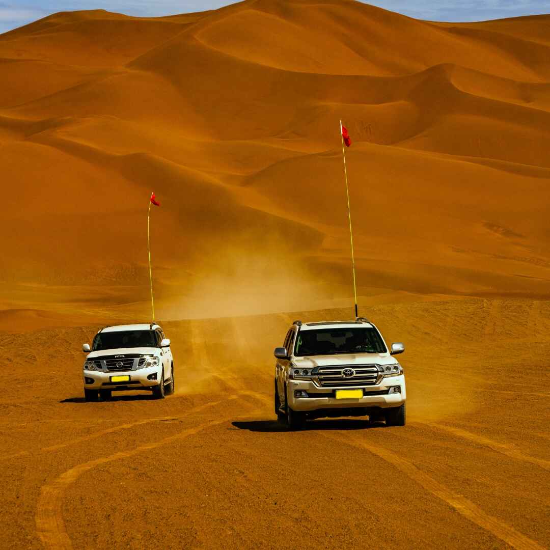 Desert Safari